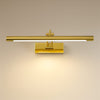 Modern LED Golden Picture Light